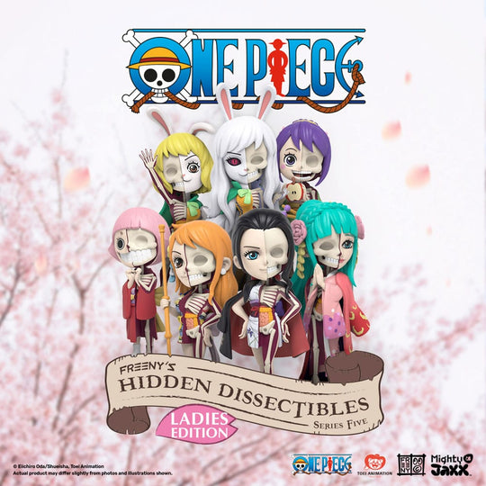 One Piece Blind Box Hidden Dissectibles Series 5