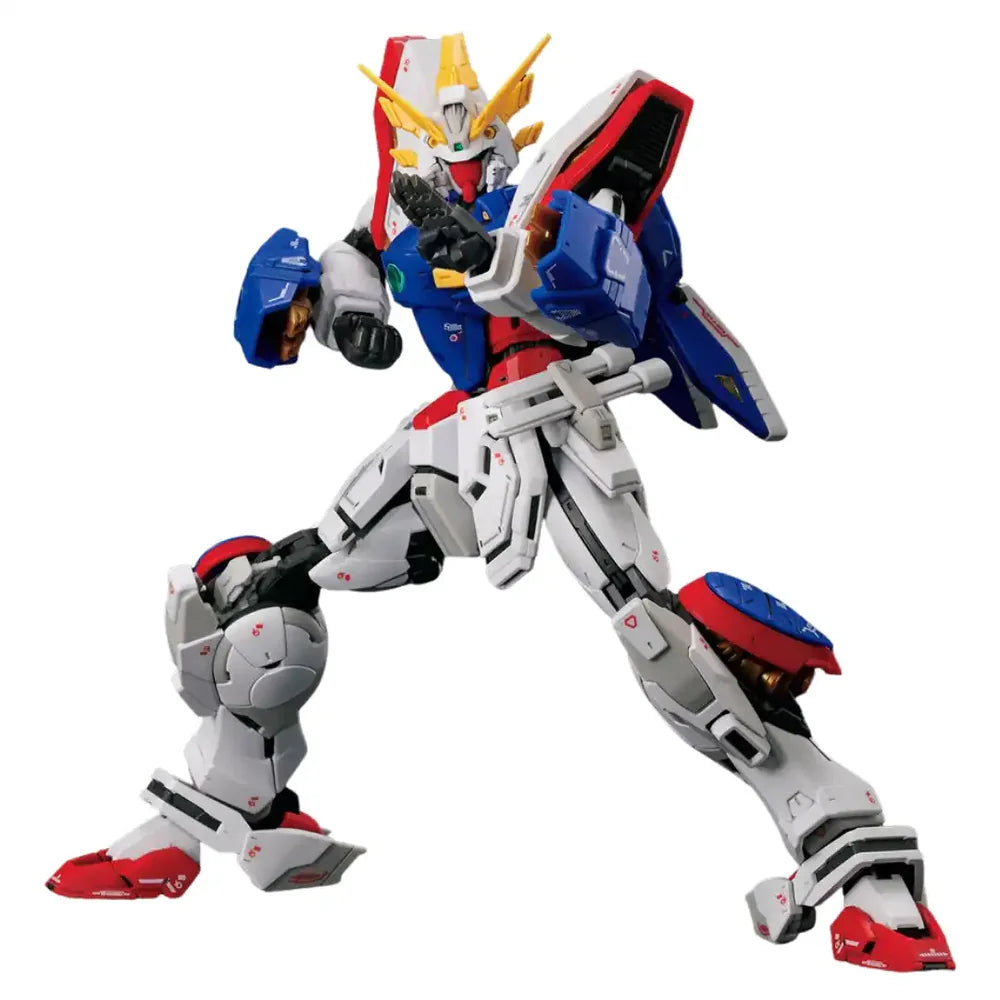 Rg Gundam Shining 1/144