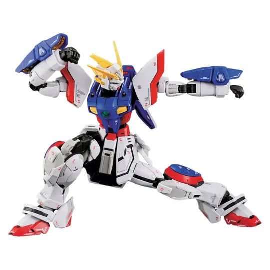 Rg Gundam Shining 1/144