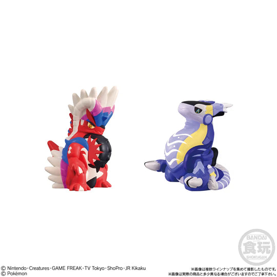 Pokemon Kids Paldea Region Ver