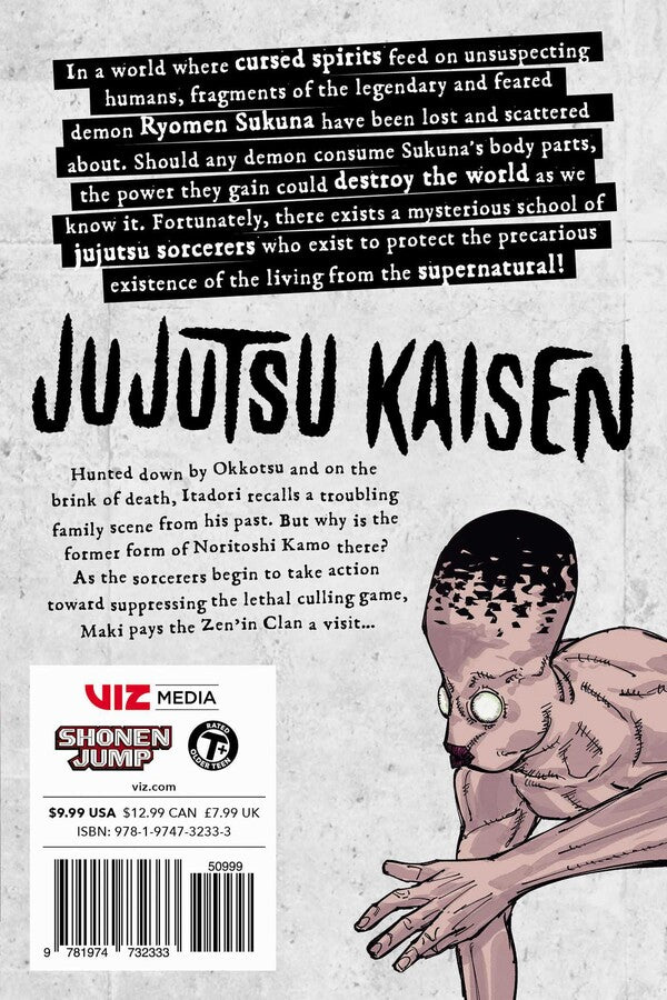 Jujutsu Kaisen, Vol. 17