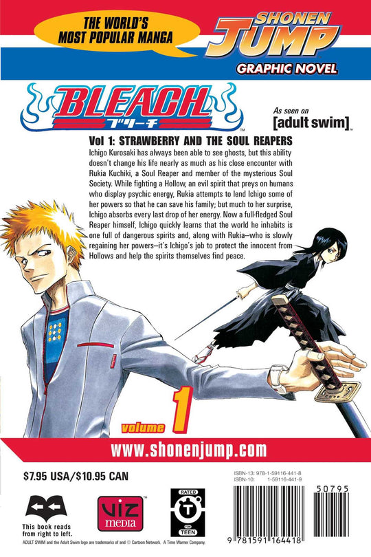 Bleach, Vol. 1