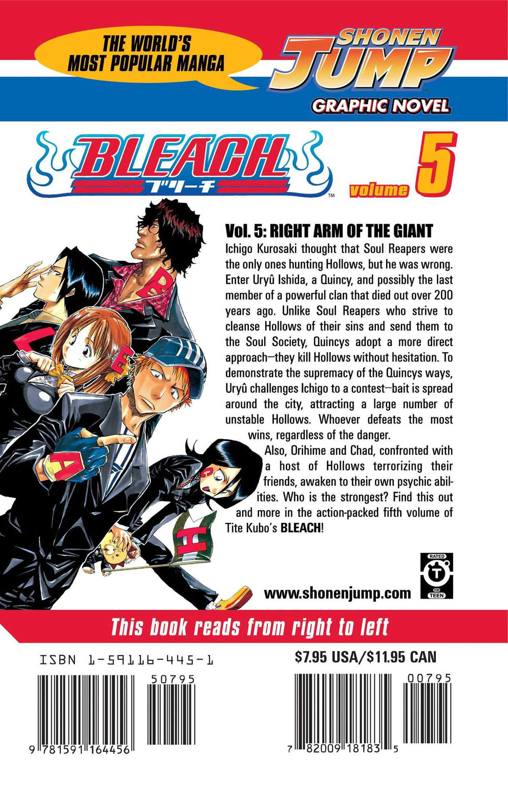 Bleach, Vol. 5