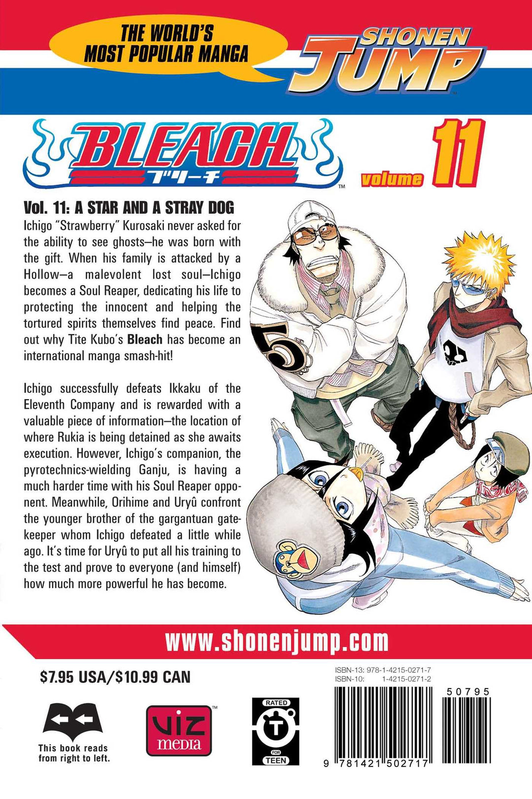 Bleach, Vol. 11