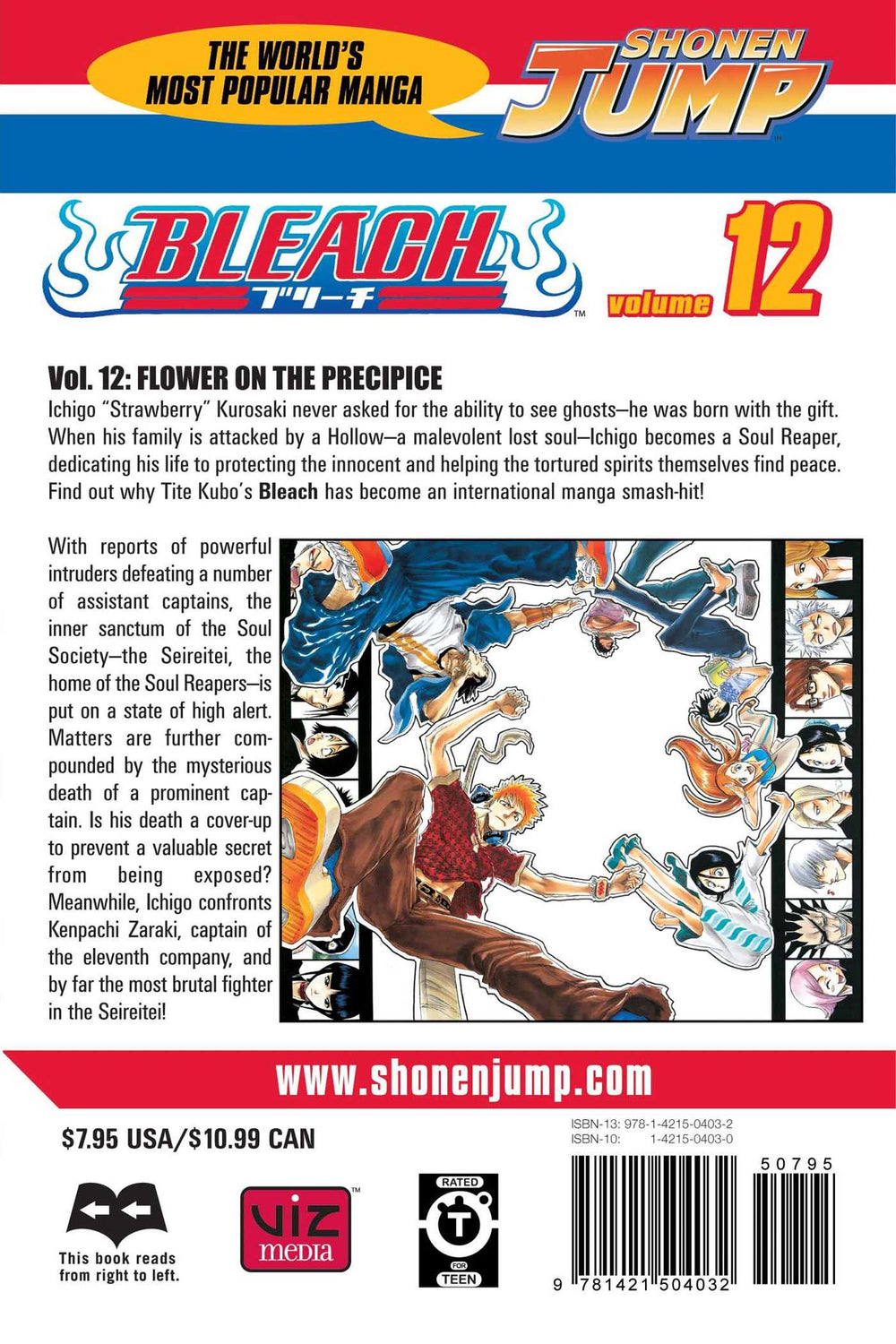 Bleach, Vol. 12