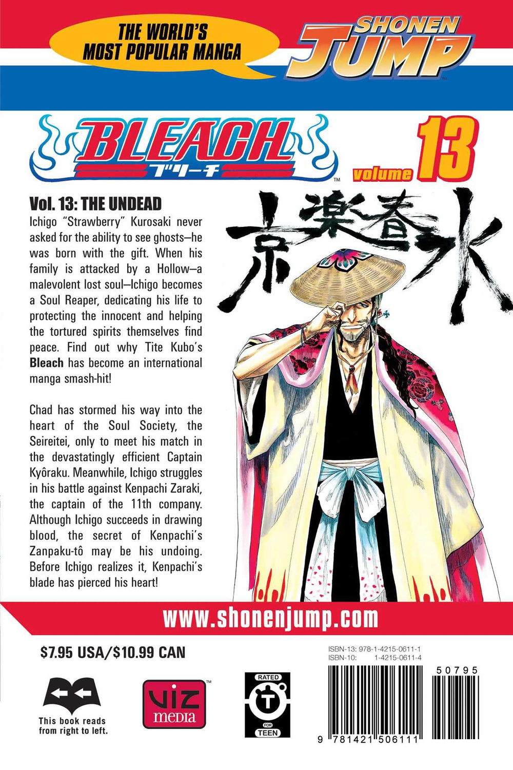 Bleach, Vol. 13