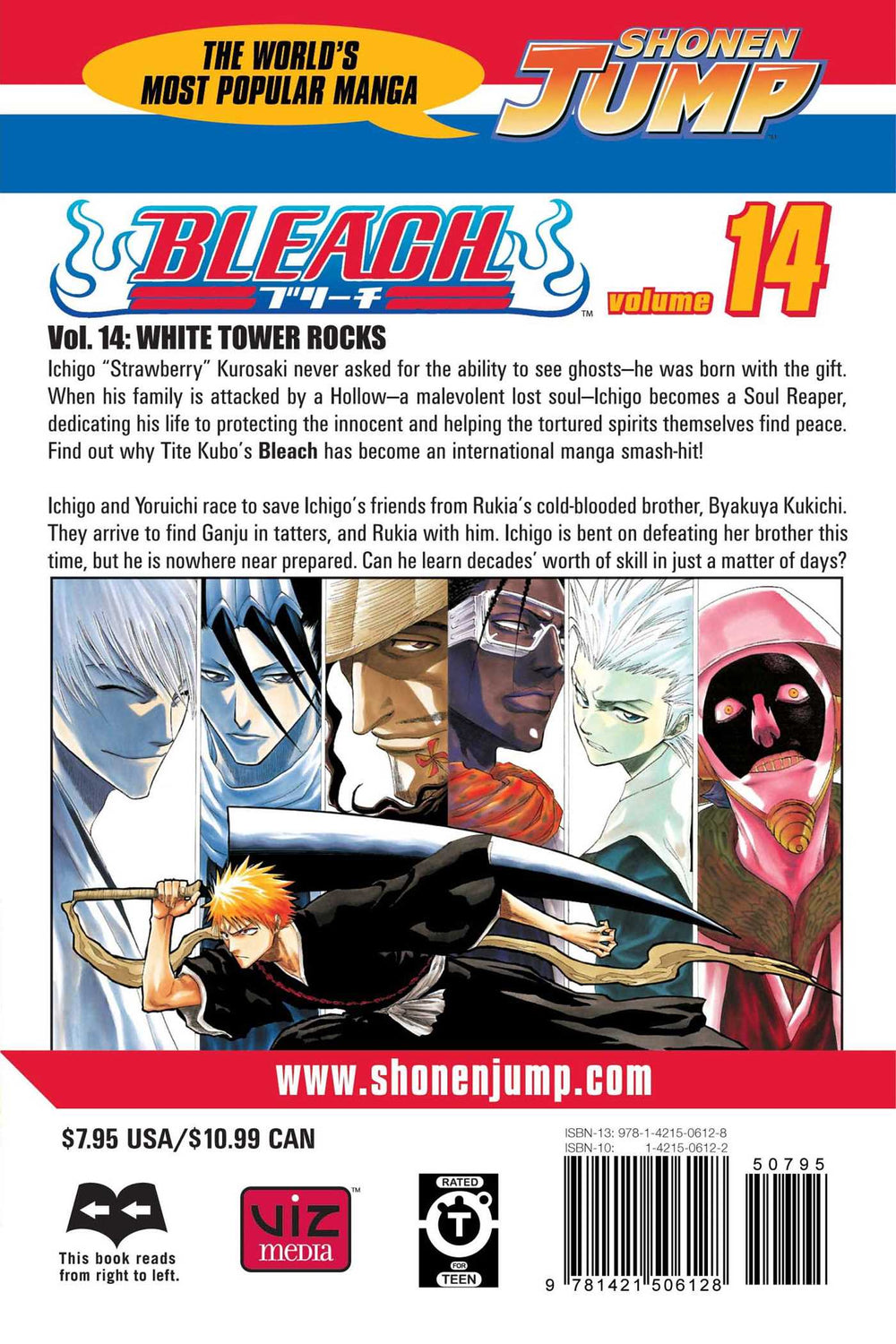 Bleach, Vol. 14