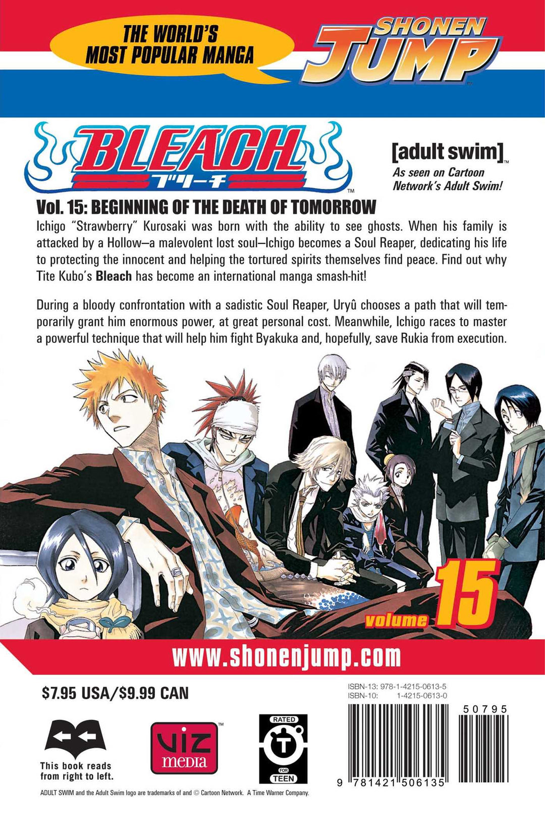 Bleach, Vol. 15