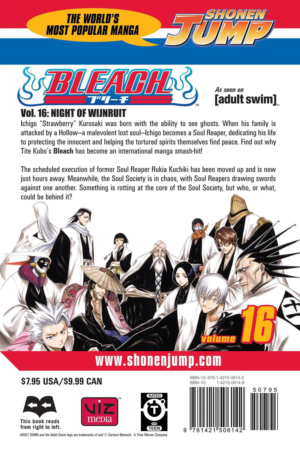 Bleach, Vol. 16