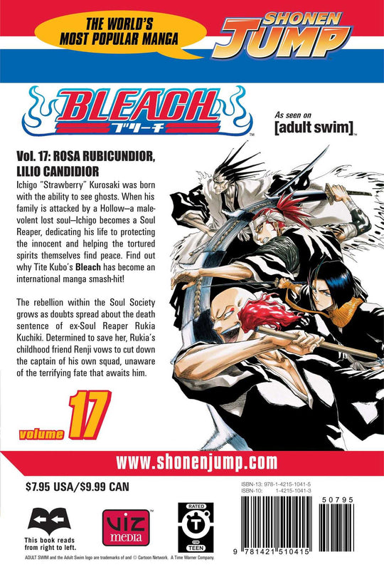 Bleach, Vol. 17