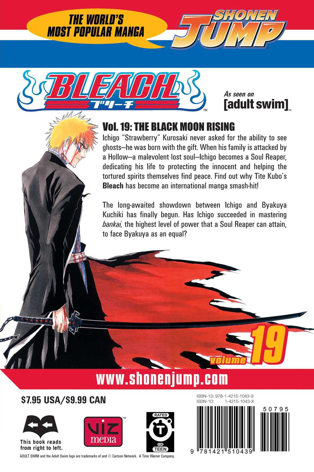 Bleach, Vol. 19