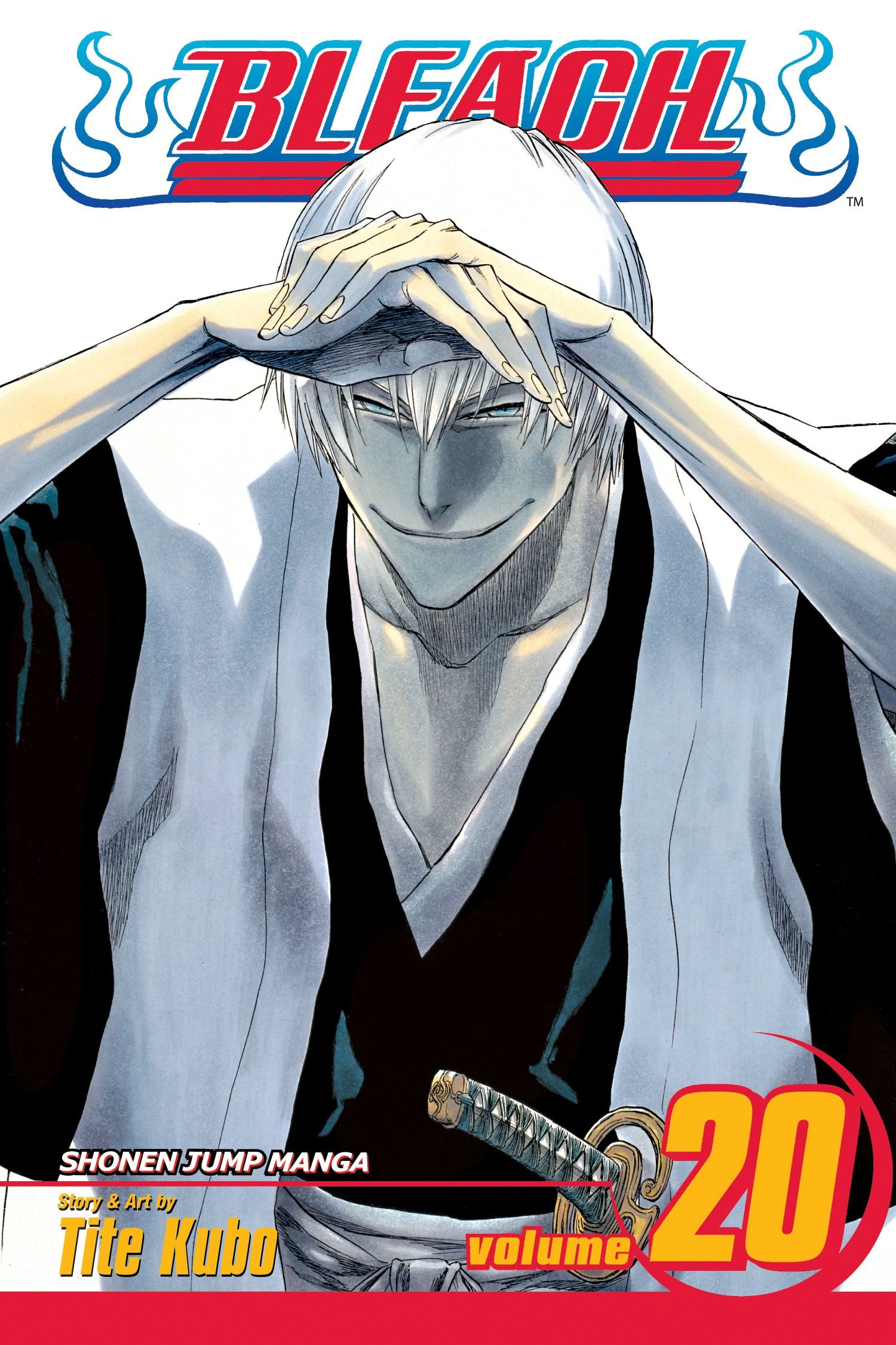 Bleach, Vol. 20 – Aniime Shop General