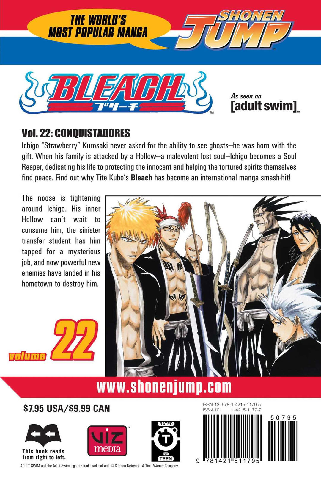 Bleach, Vol. 22