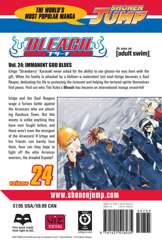 Bleach, Vol. 24