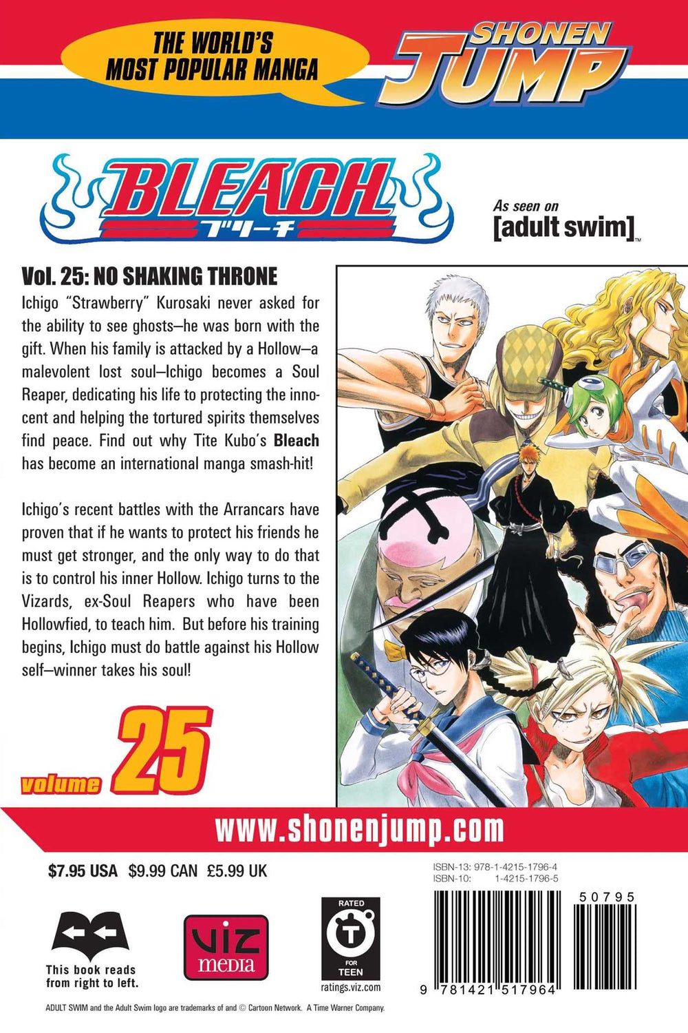 Bleach, Vol. 25