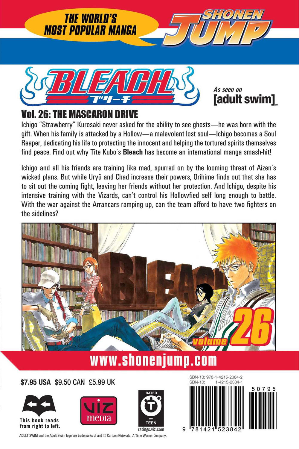 Bleach, Vol. 26