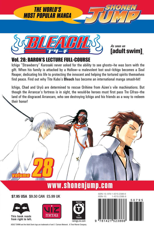 Bleach, Vol. 28