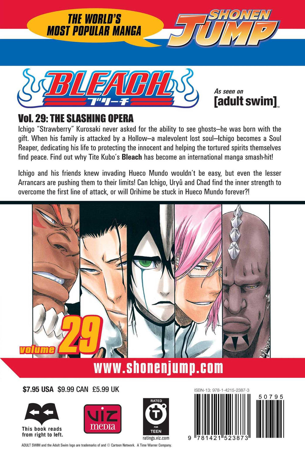 Bleach, Vol. 29