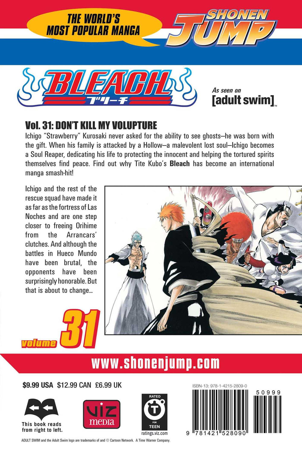 Bleach, Vol. 31