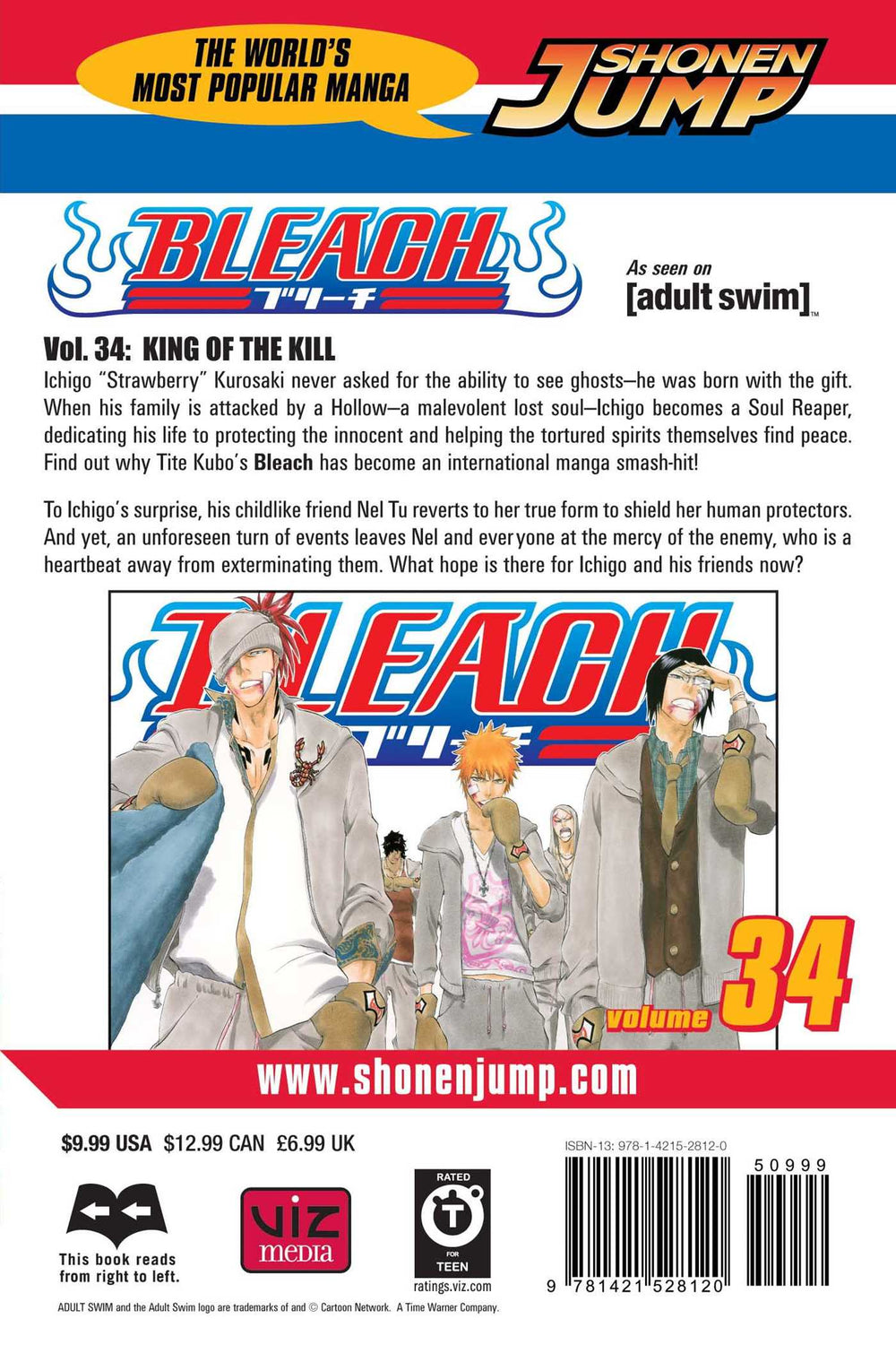 Bleach, Vol. 34