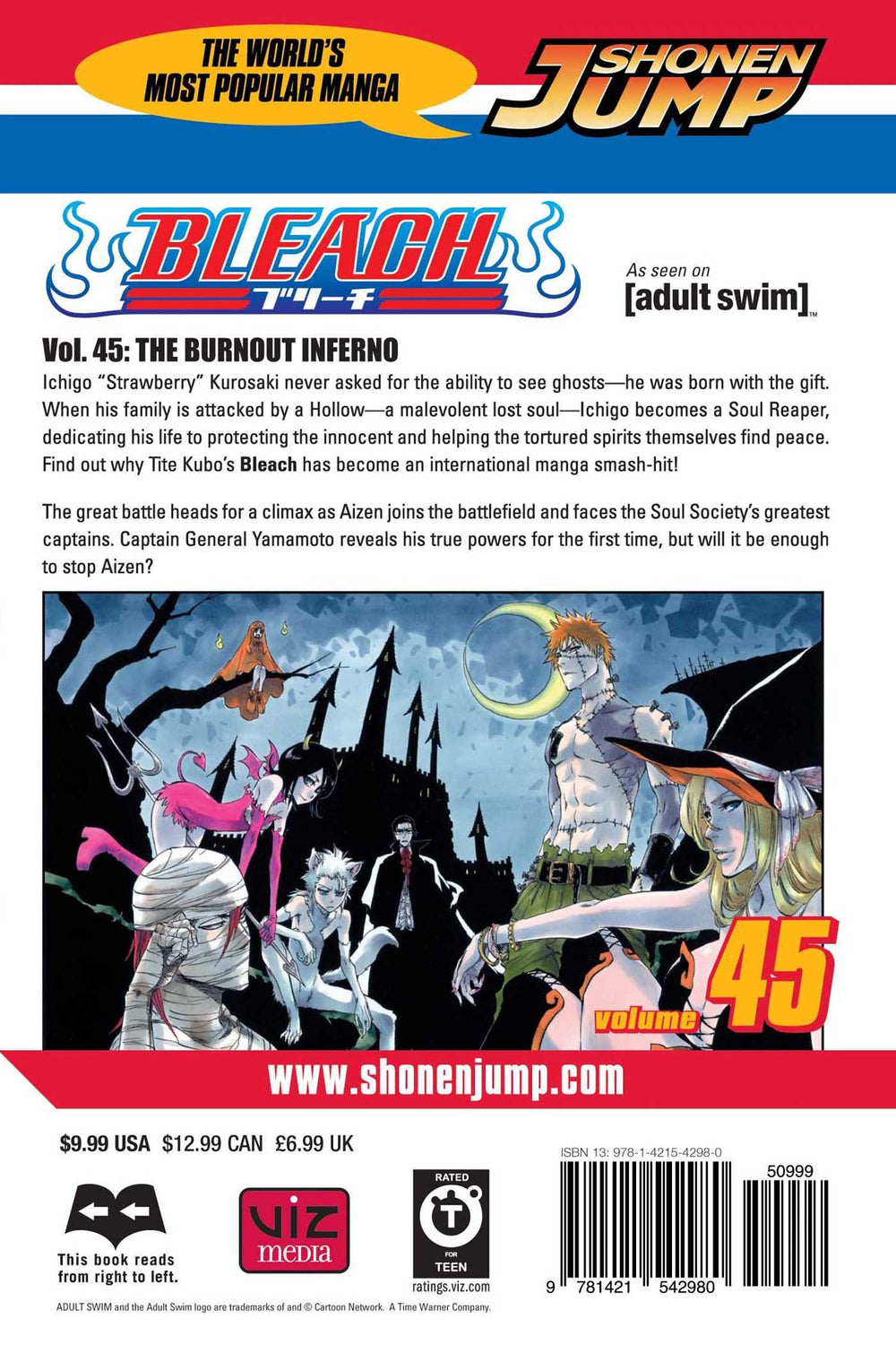 Bleach, Vol. 45