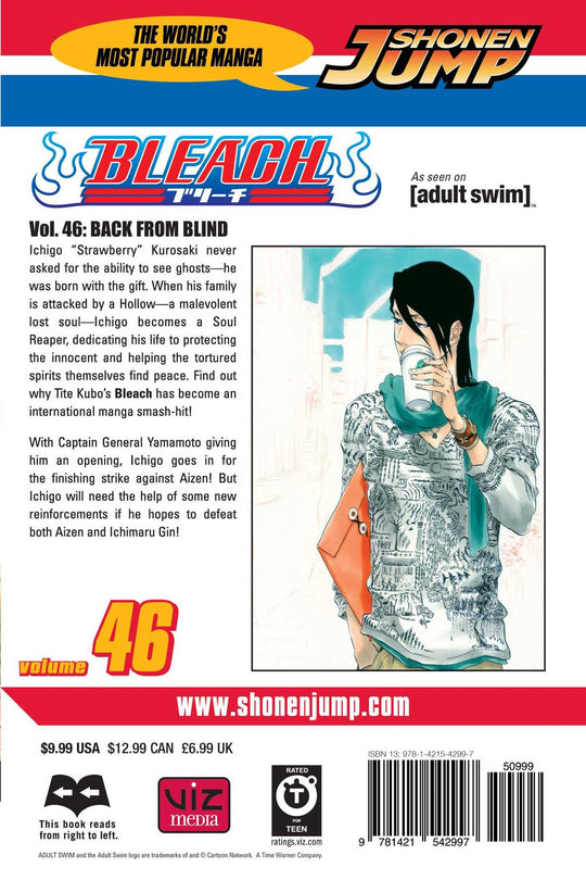 Bleach, Vol. 46