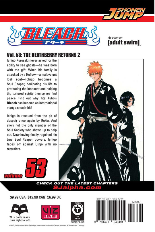 Bleach, Vol. 53