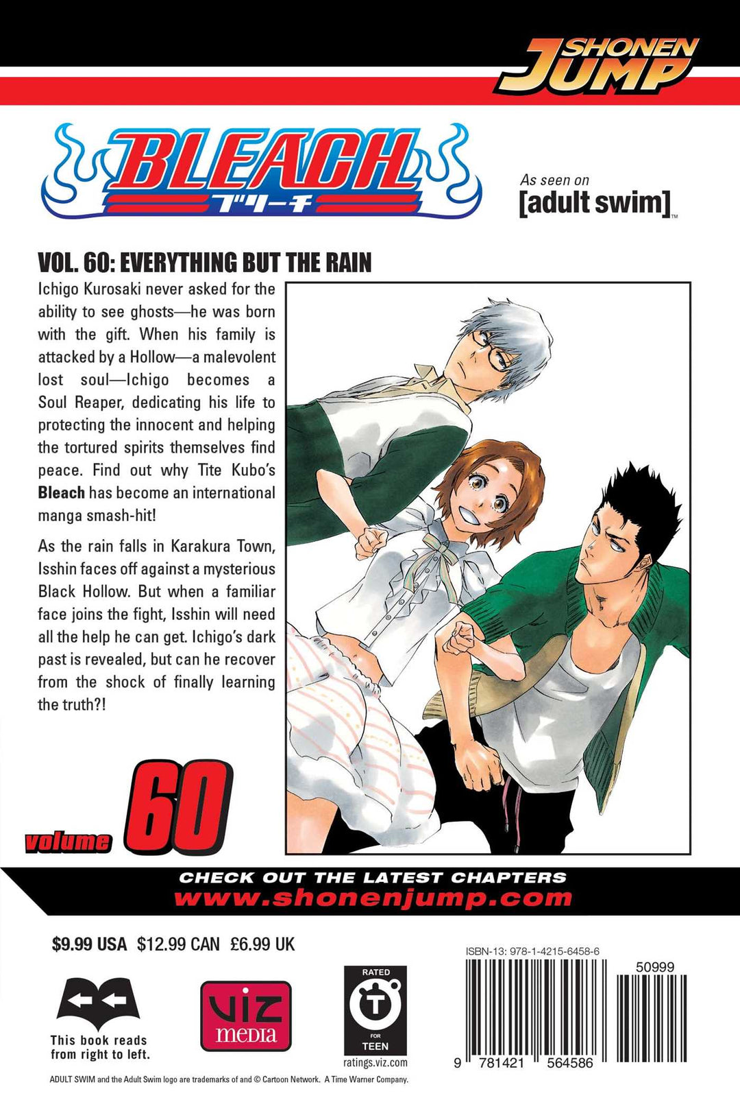 Bleach, Vol. 60