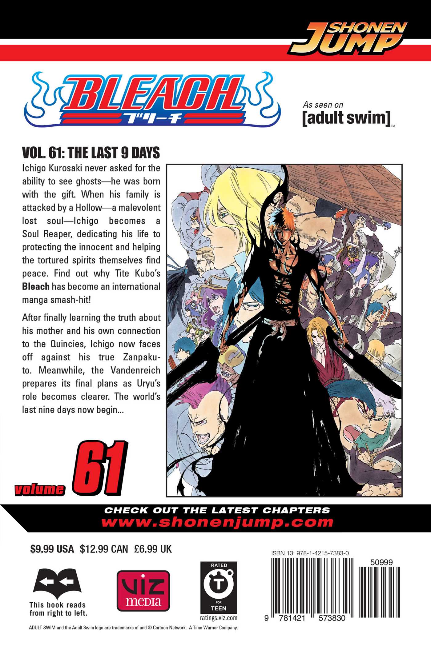 Bleach, Vol. 61 – Aniime Shop General