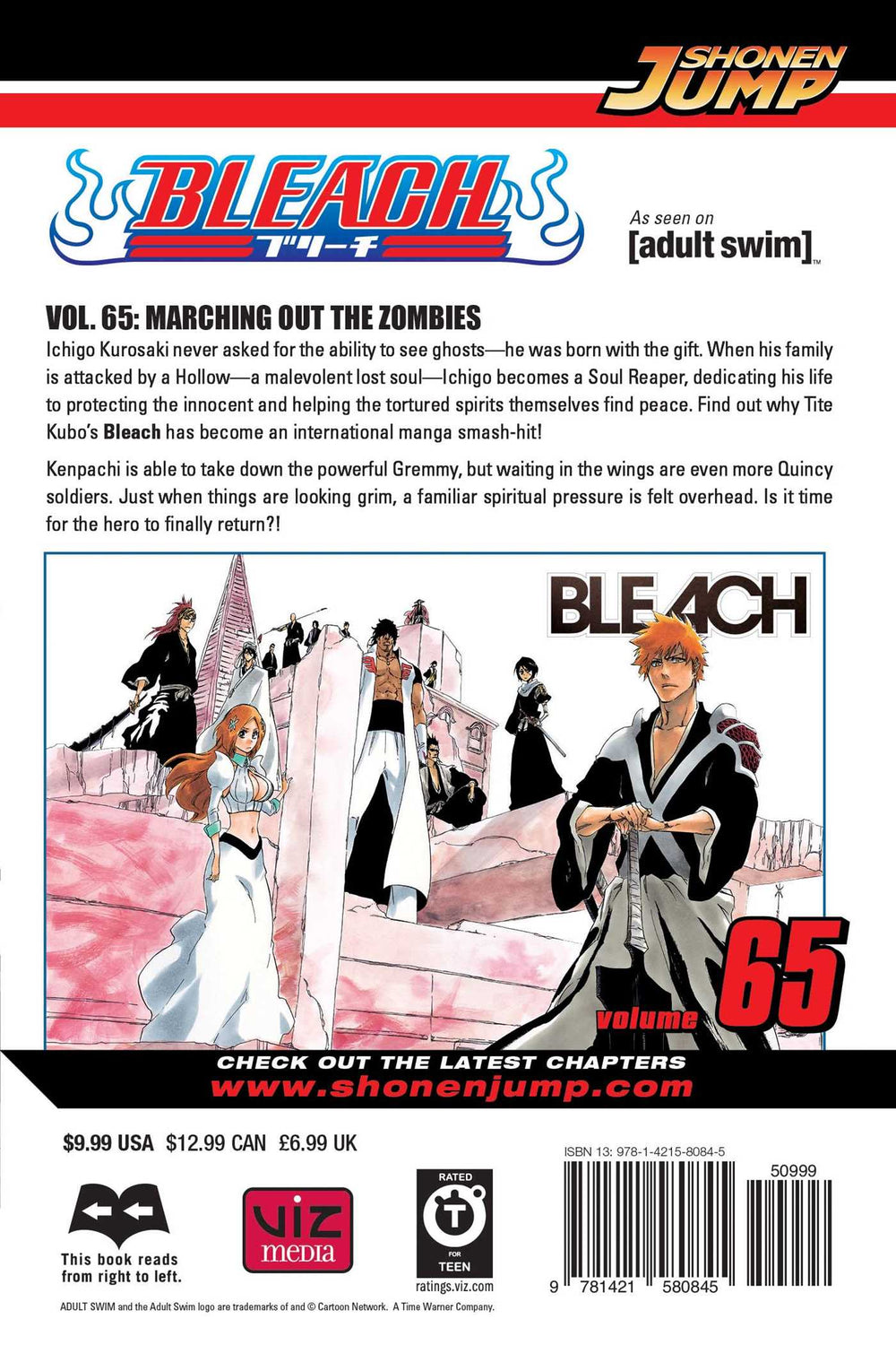 Bleach, Vol. 65