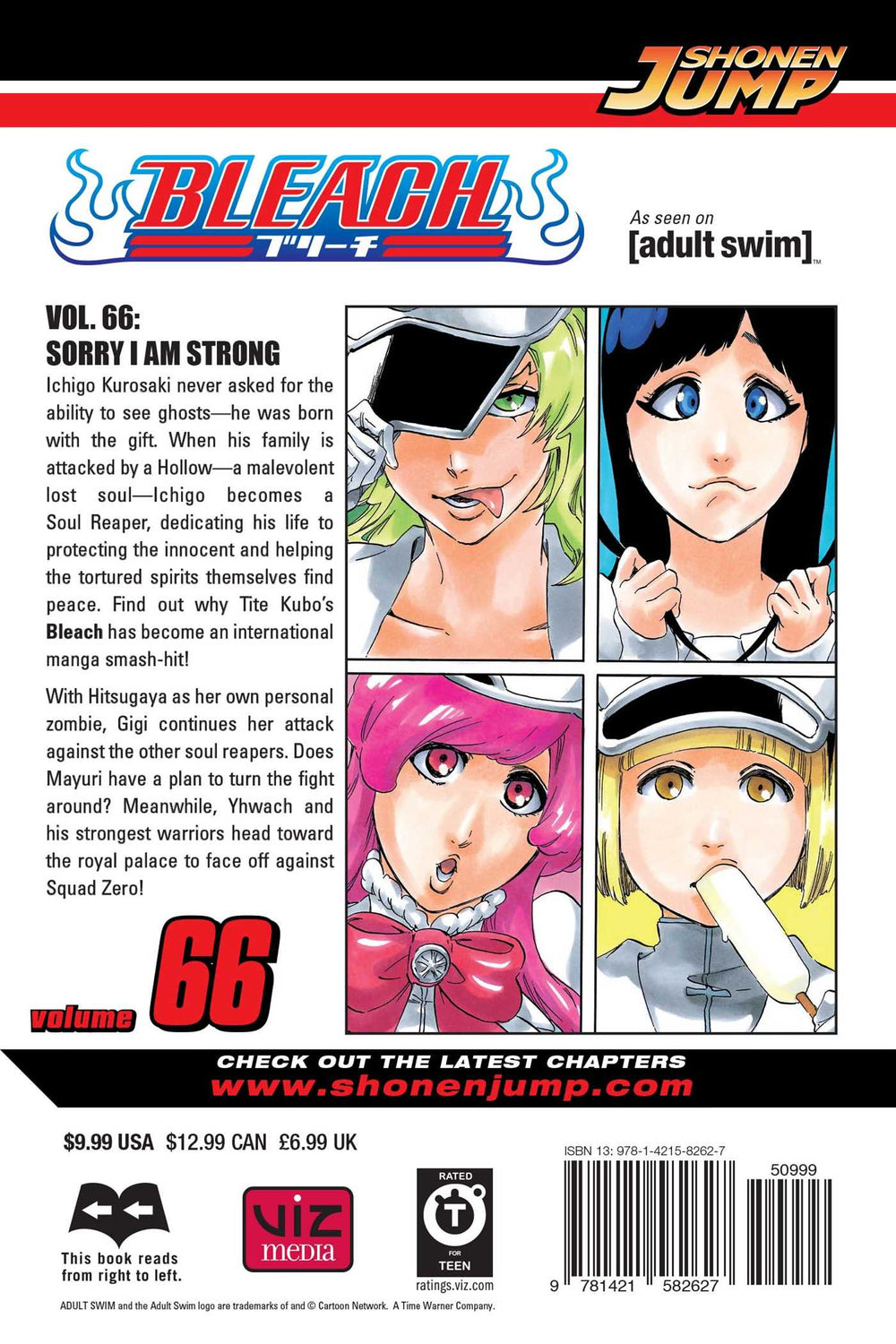 Bleach, Vol. 66