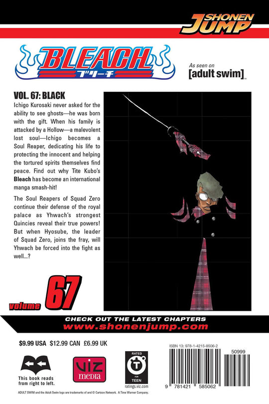 Bleach, Vol. 67