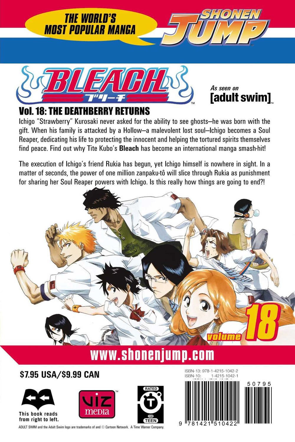 Bleach, Vol. 18