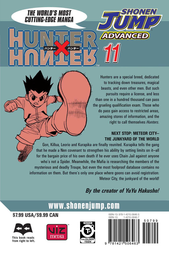 Hunter x Hunter, Vol. 11