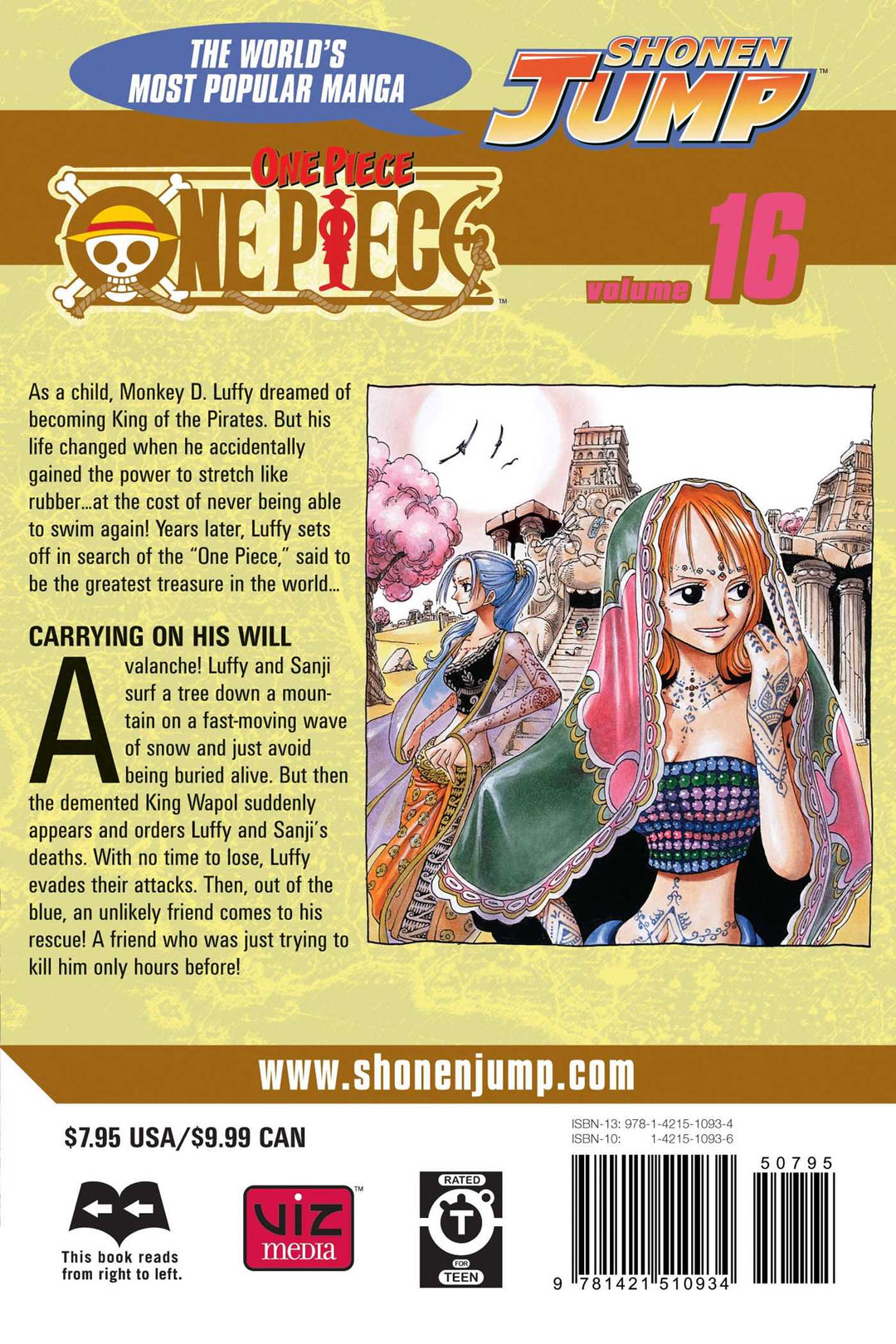 One Piece, Vol. 16