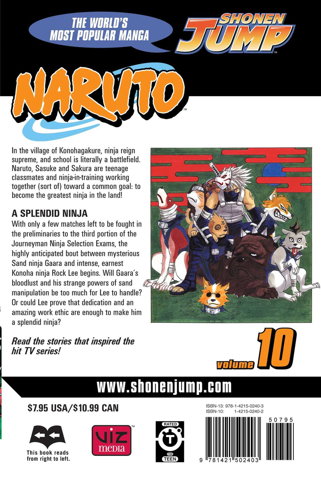 Naruto, Vol. 10