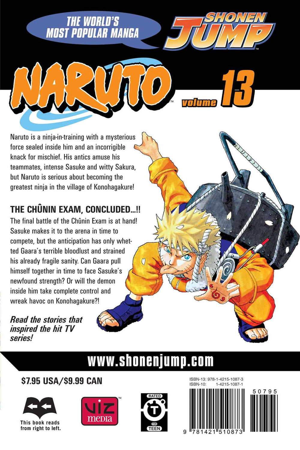 Naruto, Vol. 13