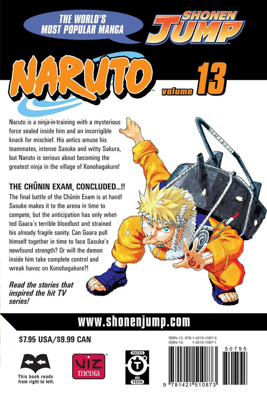 Naruto, Vol. 13