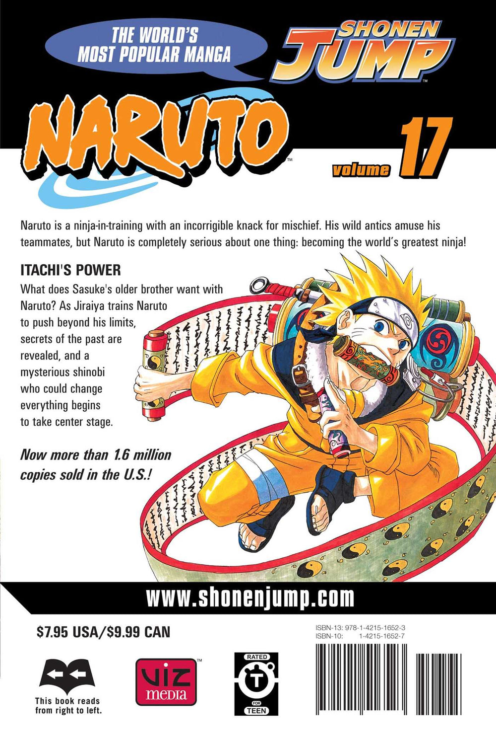 Naruto, Vol. 17