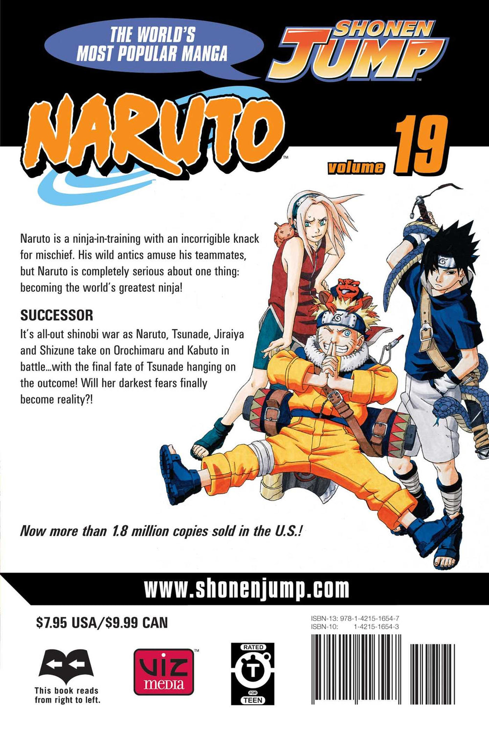 Naruto, Vol. 19