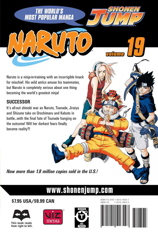 Naruto, Vol. 19