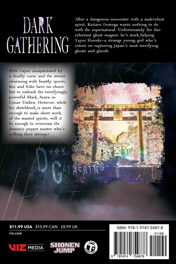 Dark Gathering, t. 13