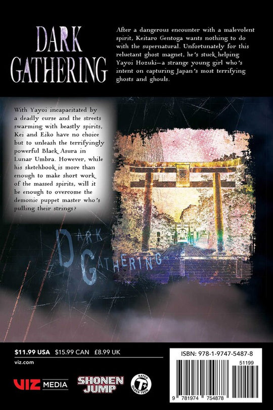 Dark Gathering, t. 13