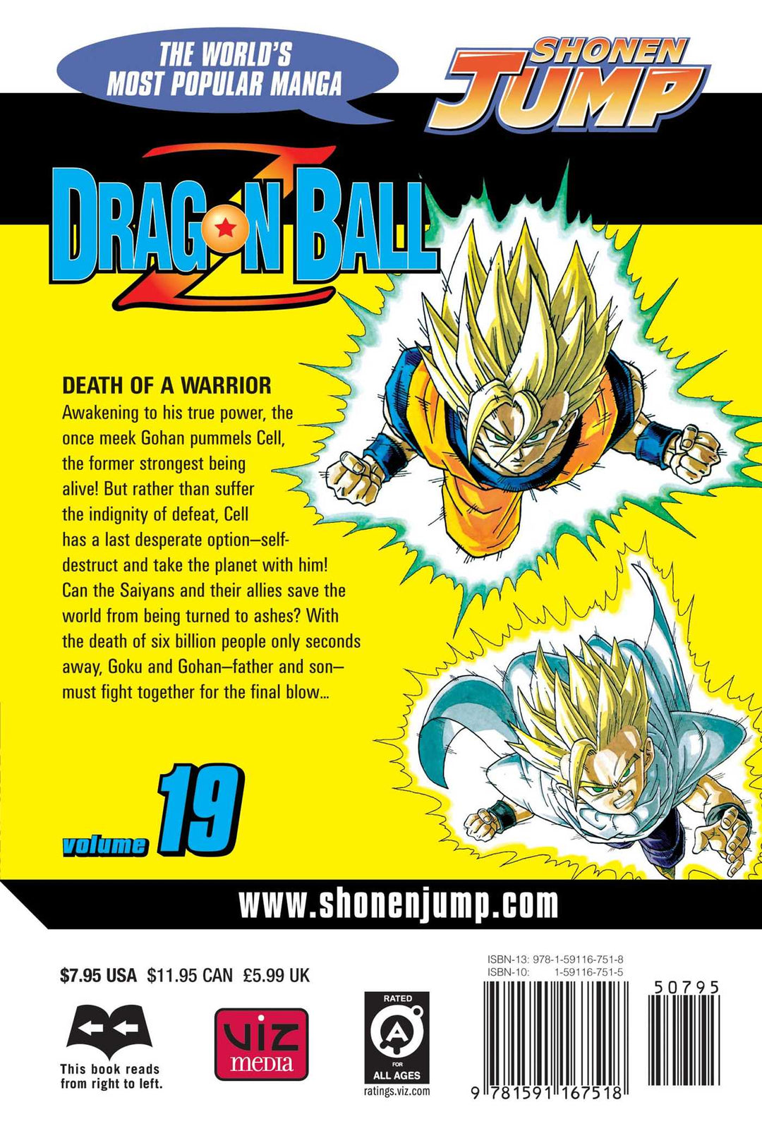 Dragon Ball Z, Vol. 19