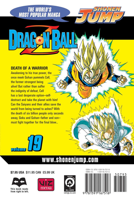 Dragon Ball Z, Vol. 19