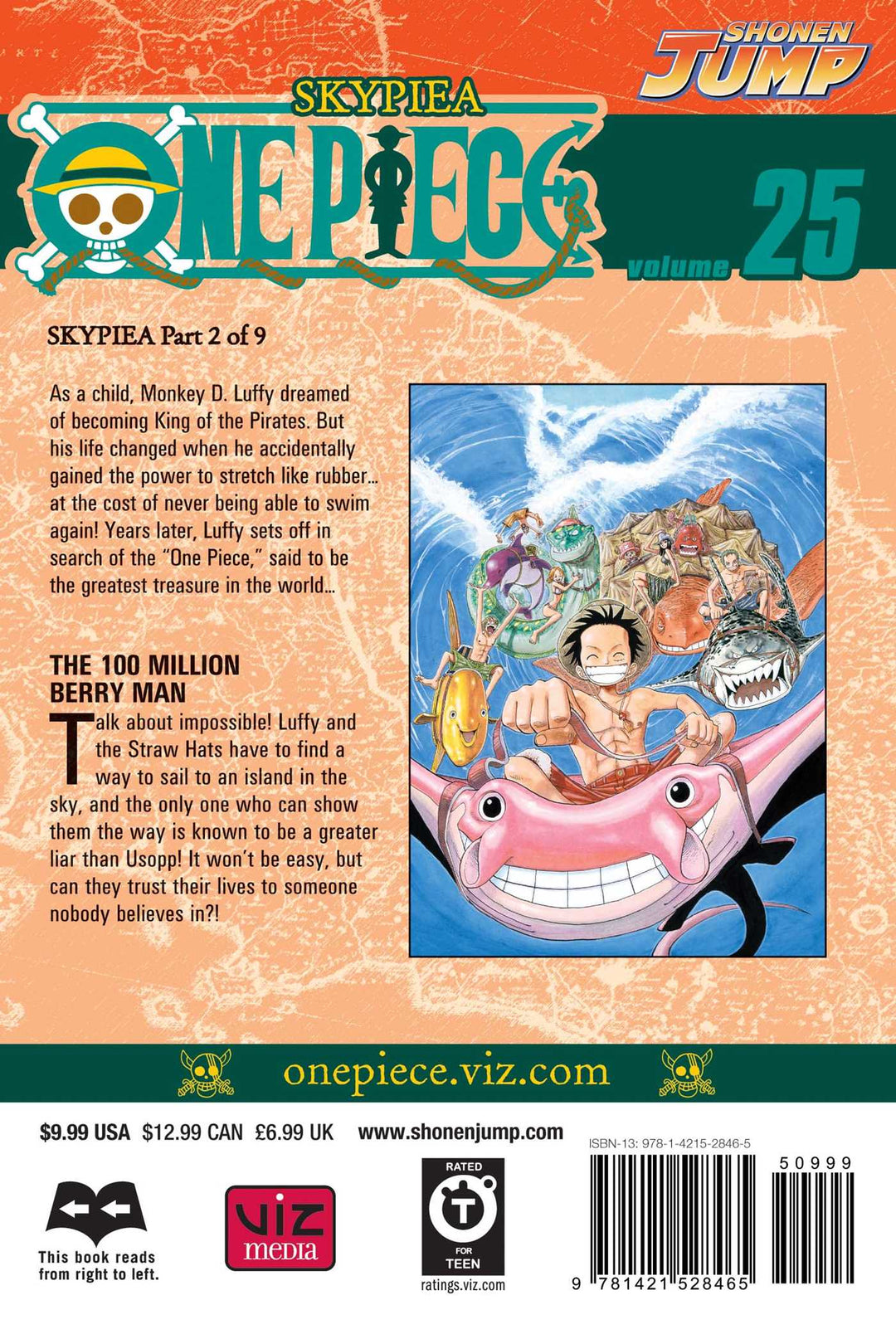 One Piece, Vol. 25