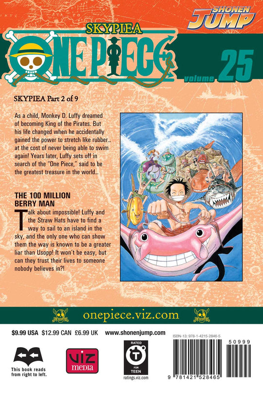 One Piece, Vol. 25