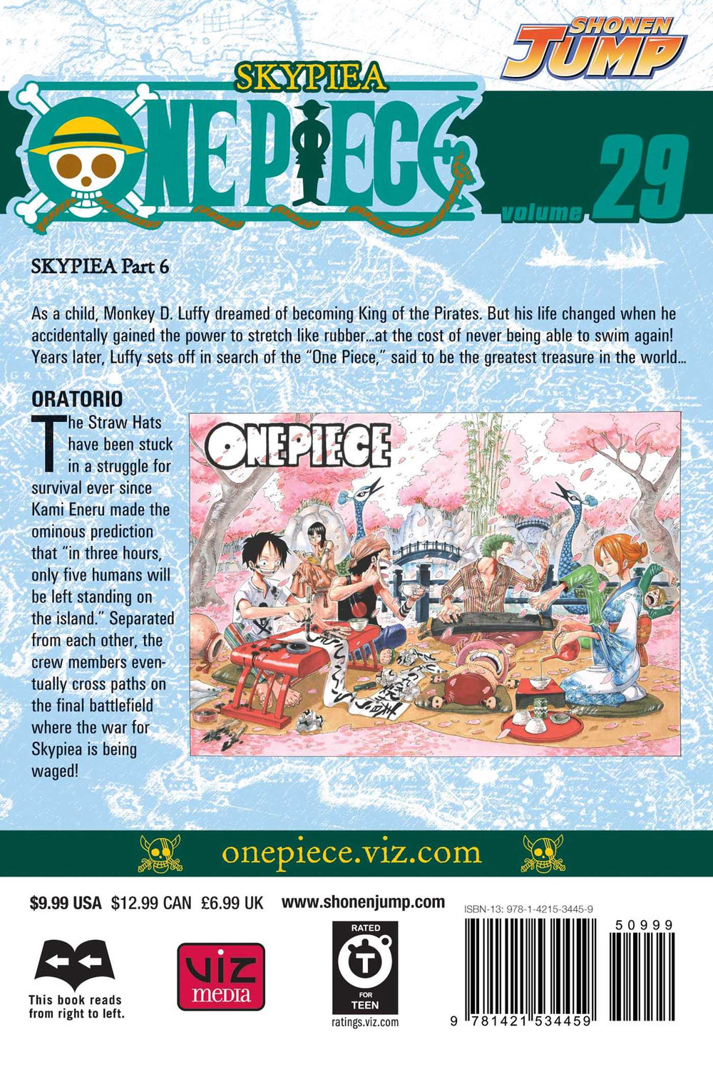 One Piece, T. 29