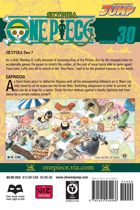 One Piece, 30 t.