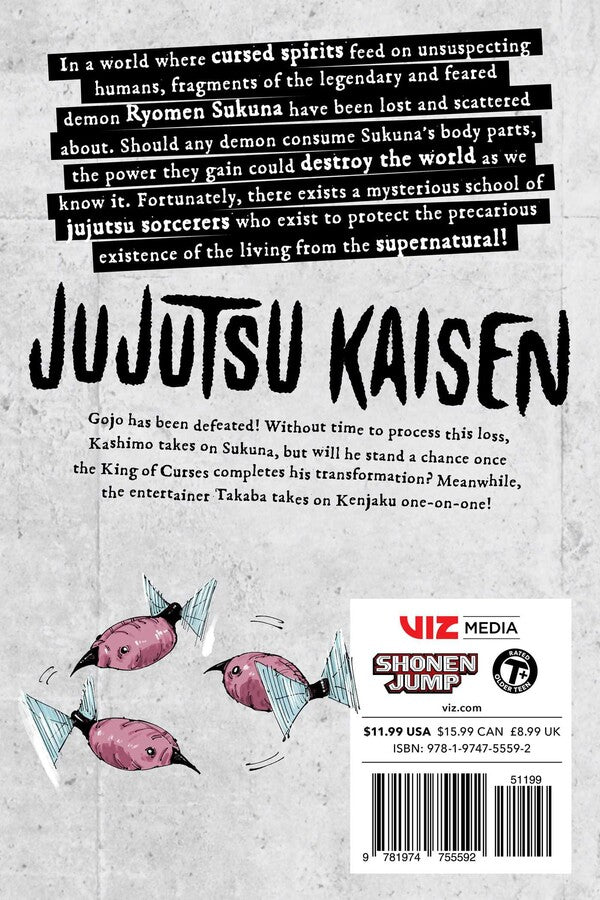 Jujutsu Kaisen, Vol. 27